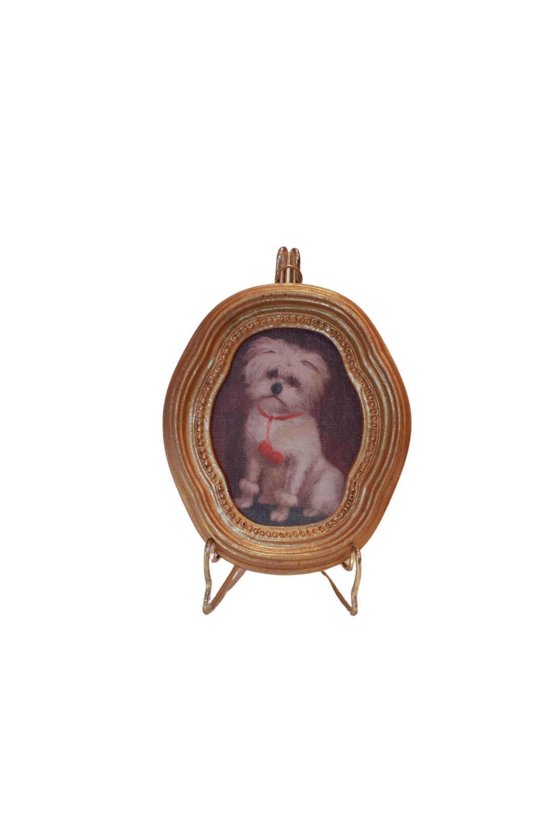 Framed Maltese - Miss Parfaite