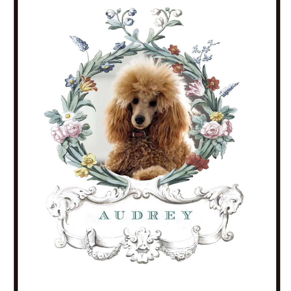 Portrait d'Animal - Jardin du Luxembourg - Blanc 