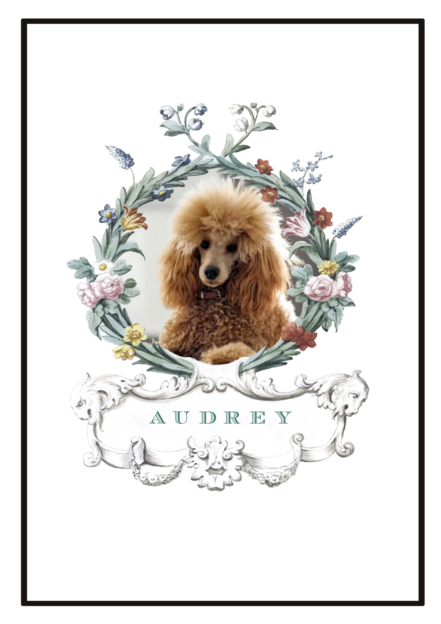 Portrait d'Animal - Jardin du Luxembourg - Blanc 