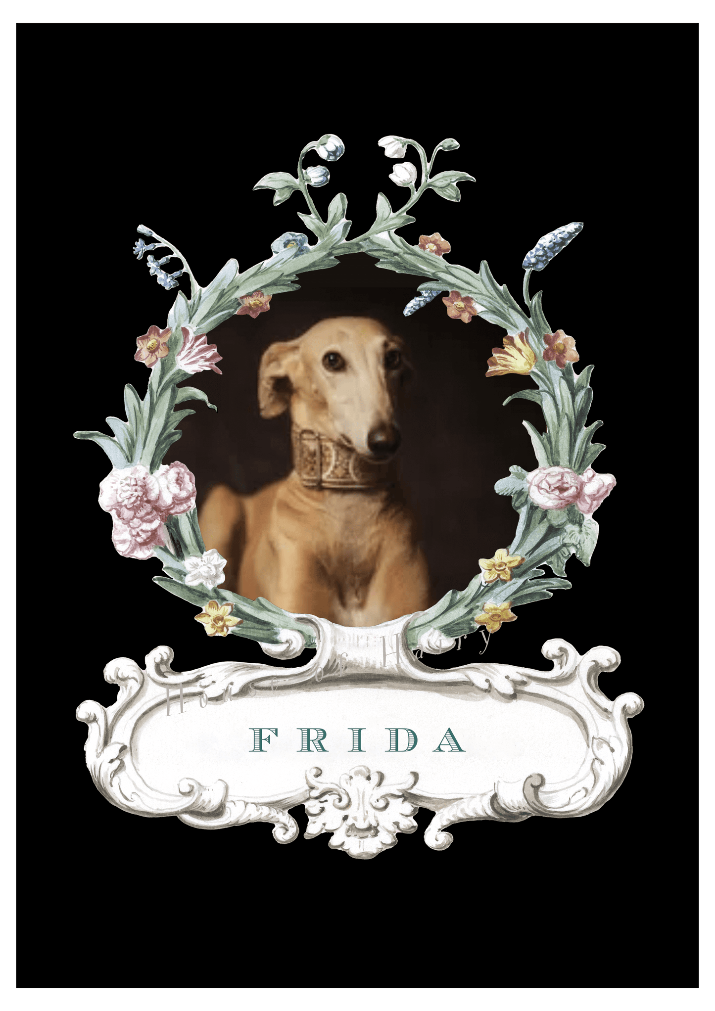 Portrait d'animal de compagnie - Palais Royal Black 
