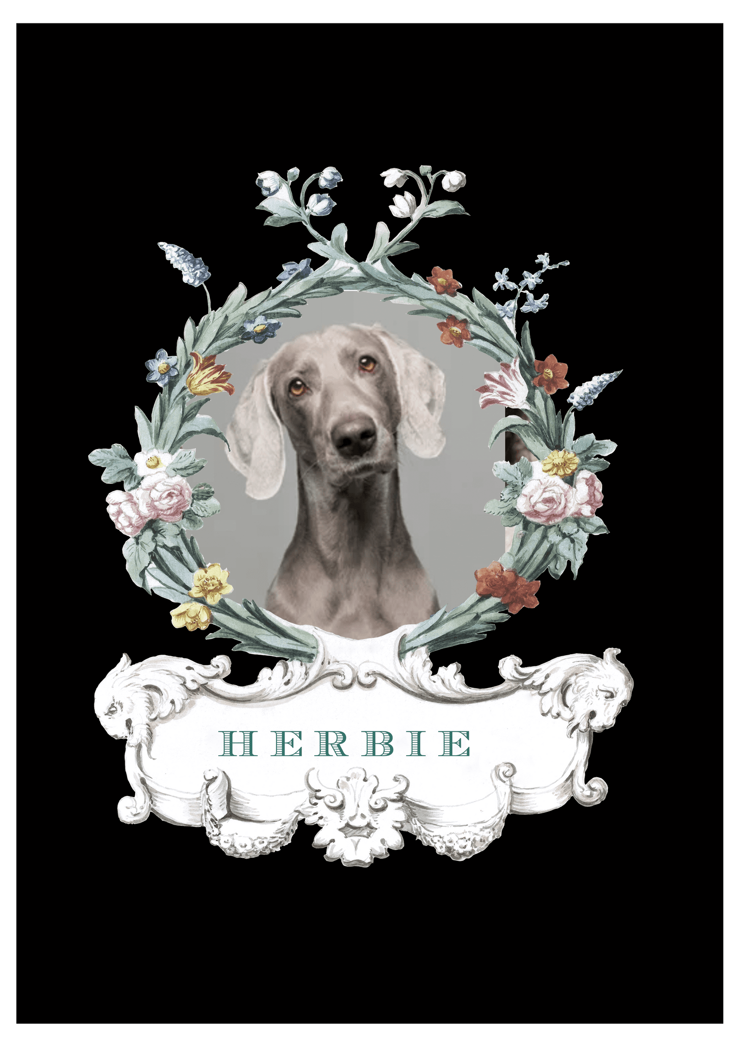 Portrait d'Animal - Jardin du Luxembourg - Noir 