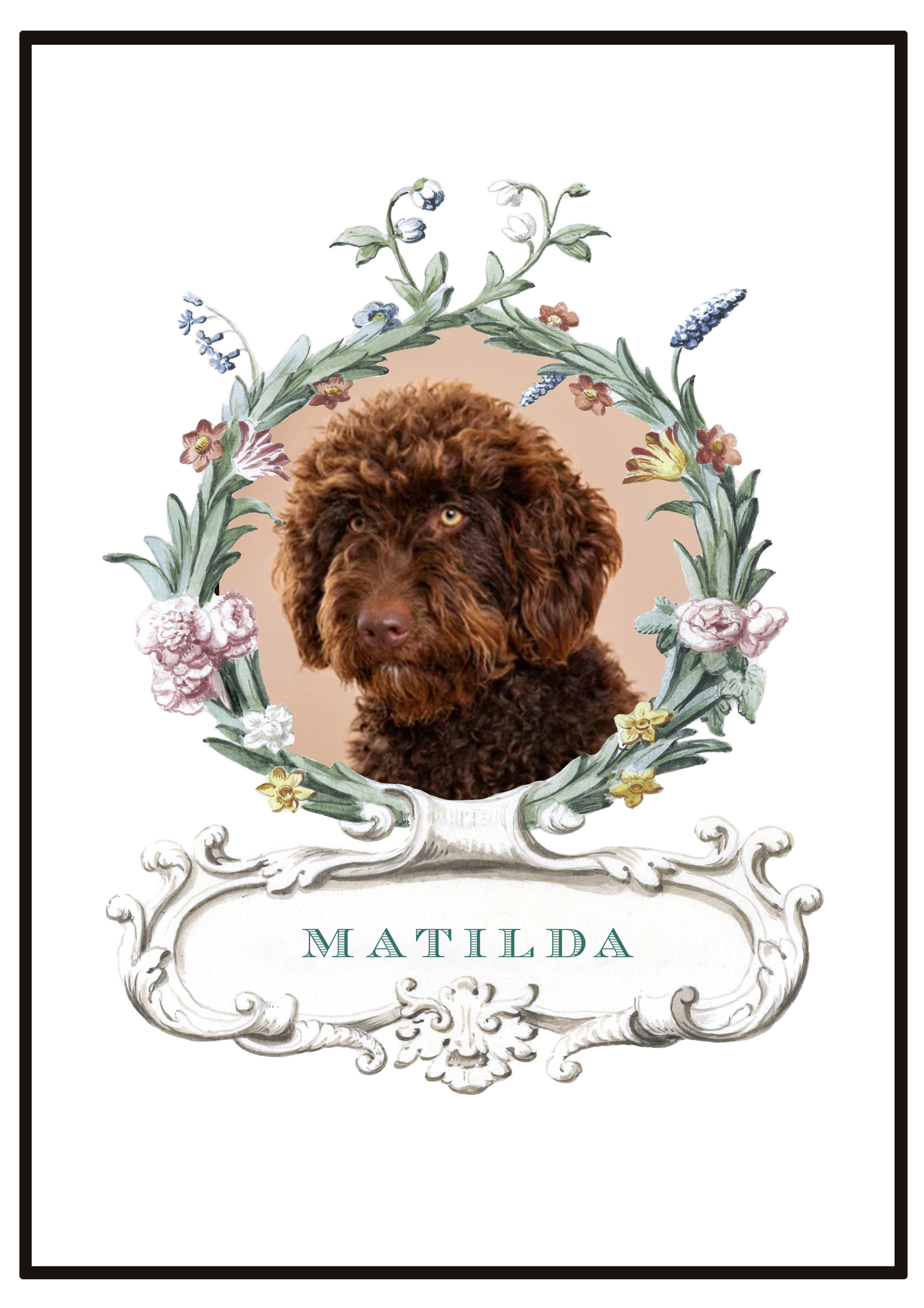Portrait d'animal de compagnie - Palais Royal Blanc 